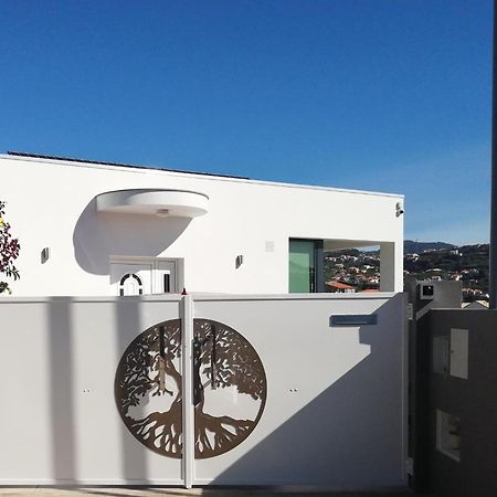 The Tree Of Life House 호텔 폰타도솔 외부 사진